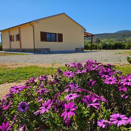 Agriturismo Fusini Magliano in Toscana Exterior foto