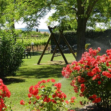 Agriturismo Fusini Magliano in Toscana Exterior foto
