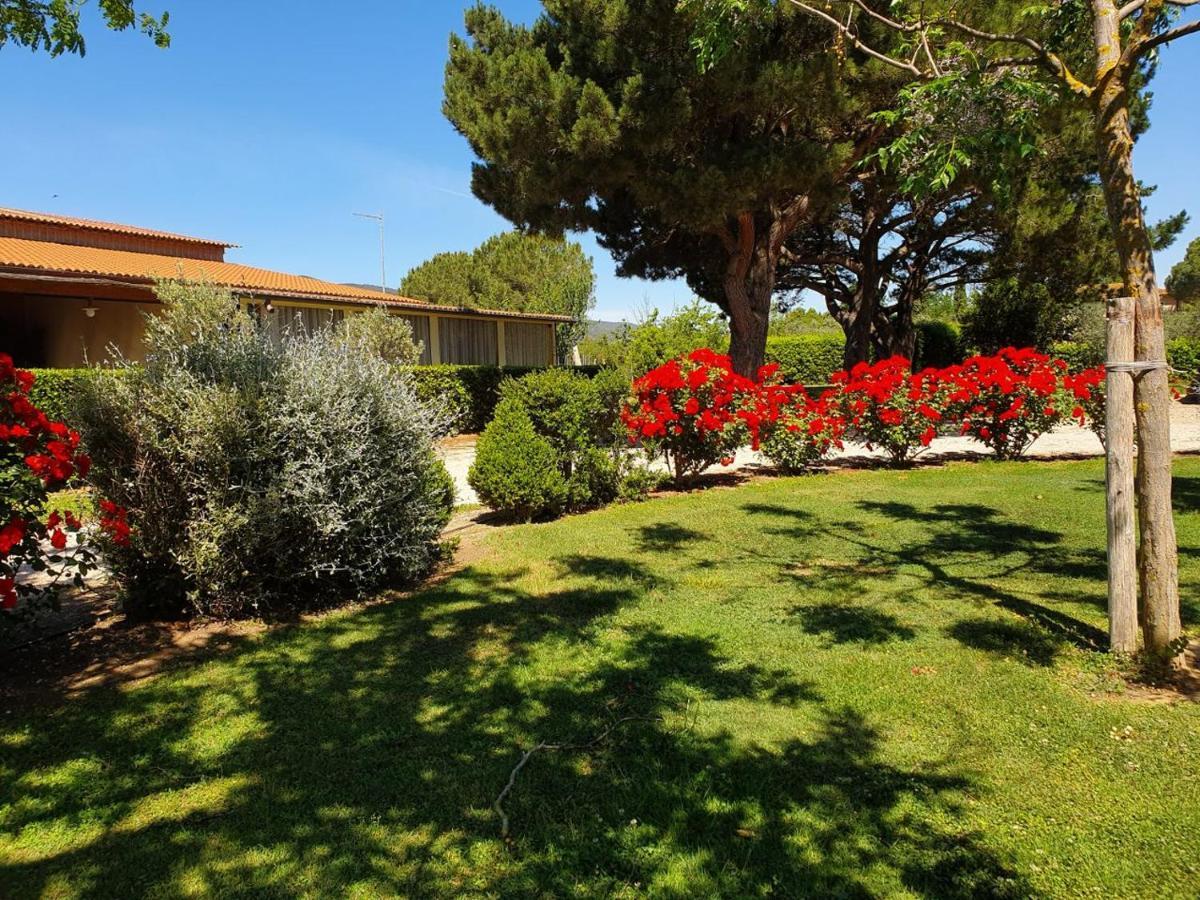 Agriturismo Fusini Magliano in Toscana Exterior foto