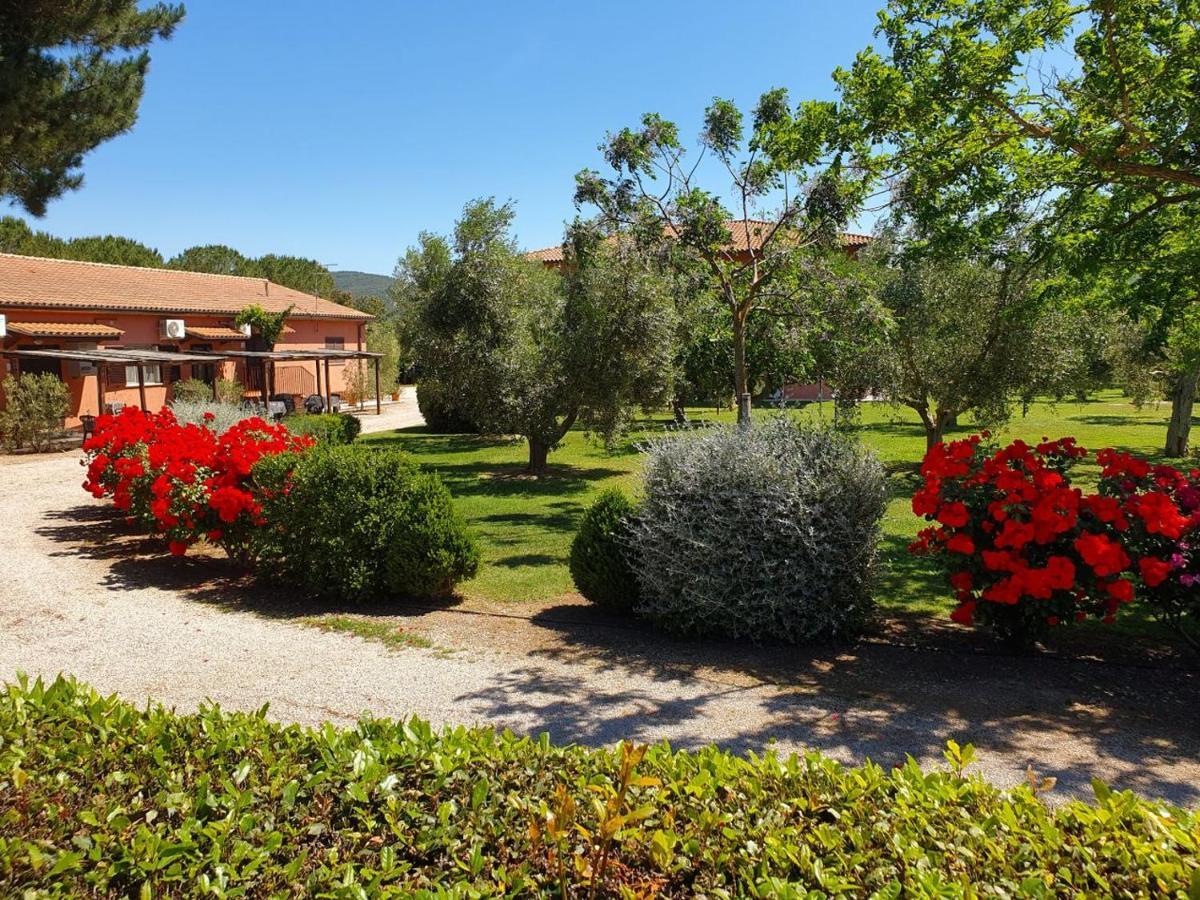 Agriturismo Fusini Magliano in Toscana Exterior foto