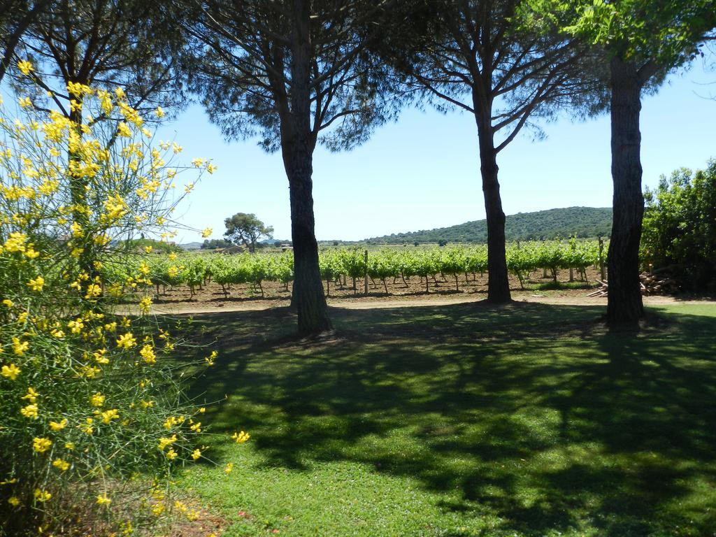 Agriturismo Fusini Magliano in Toscana Exterior foto