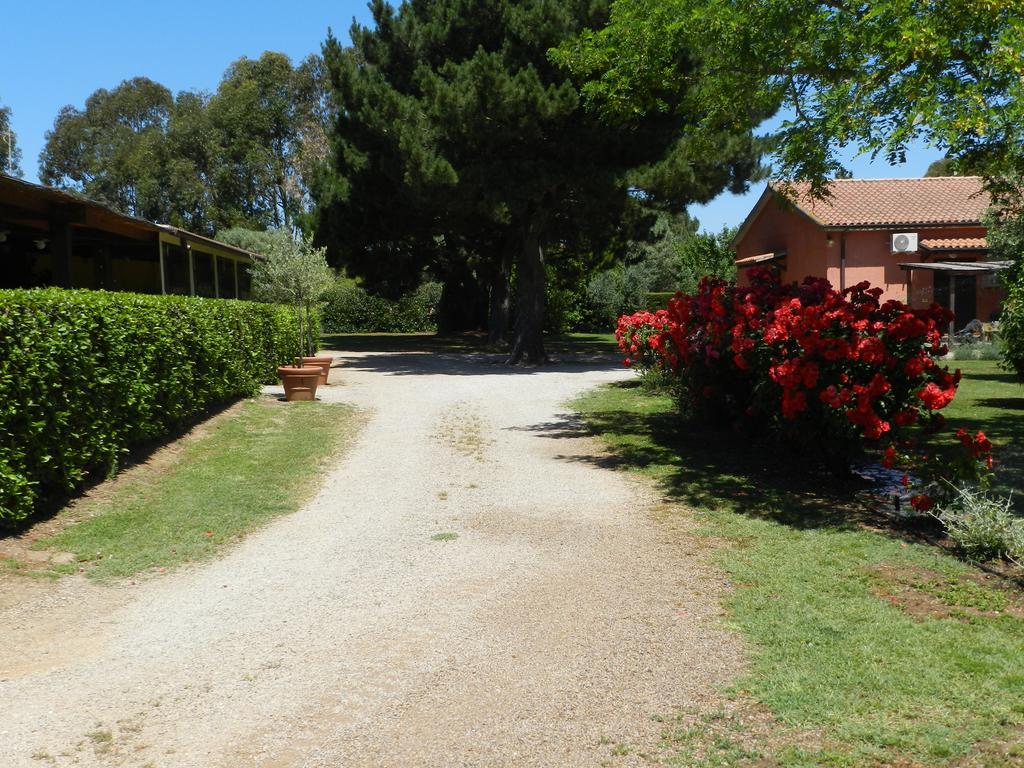 Agriturismo Fusini Magliano in Toscana Exterior foto