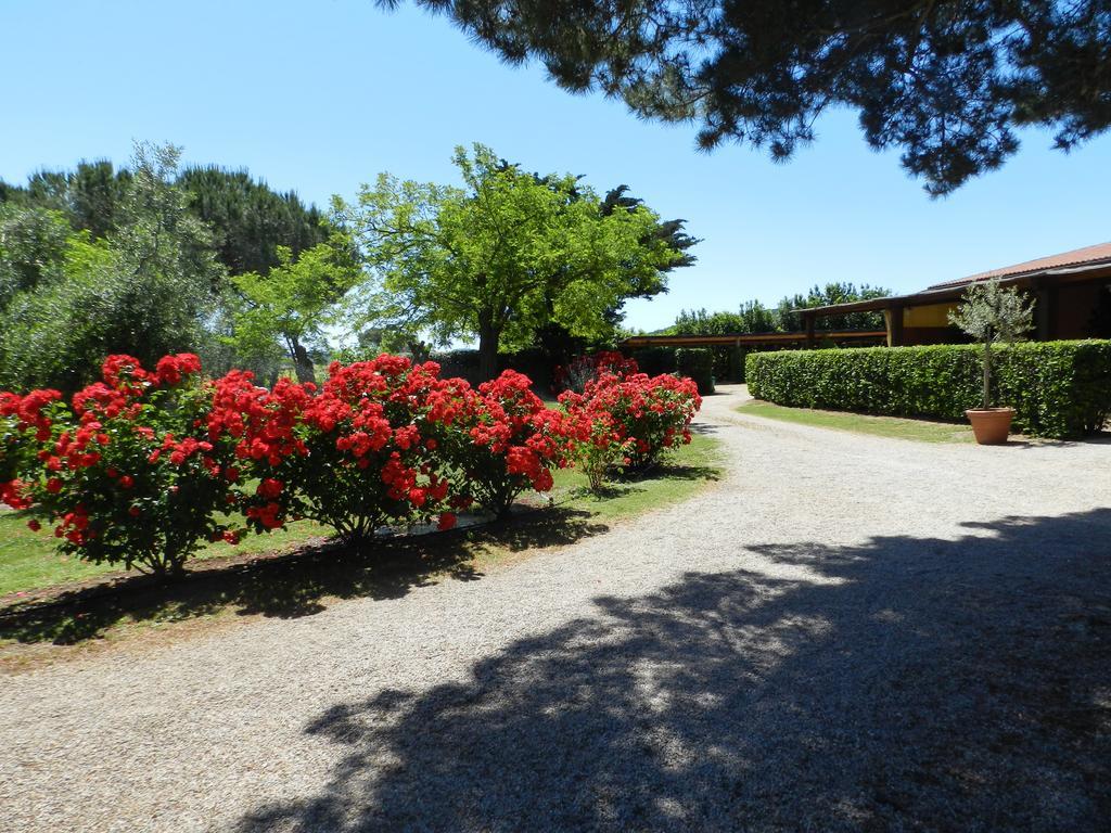 Agriturismo Fusini Magliano in Toscana Exterior foto