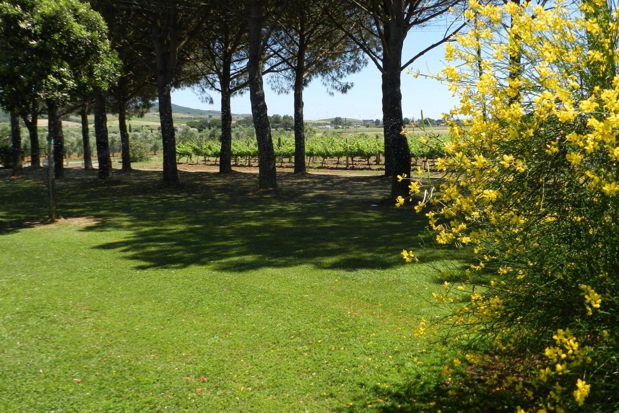 Agriturismo Fusini Magliano in Toscana Exterior foto