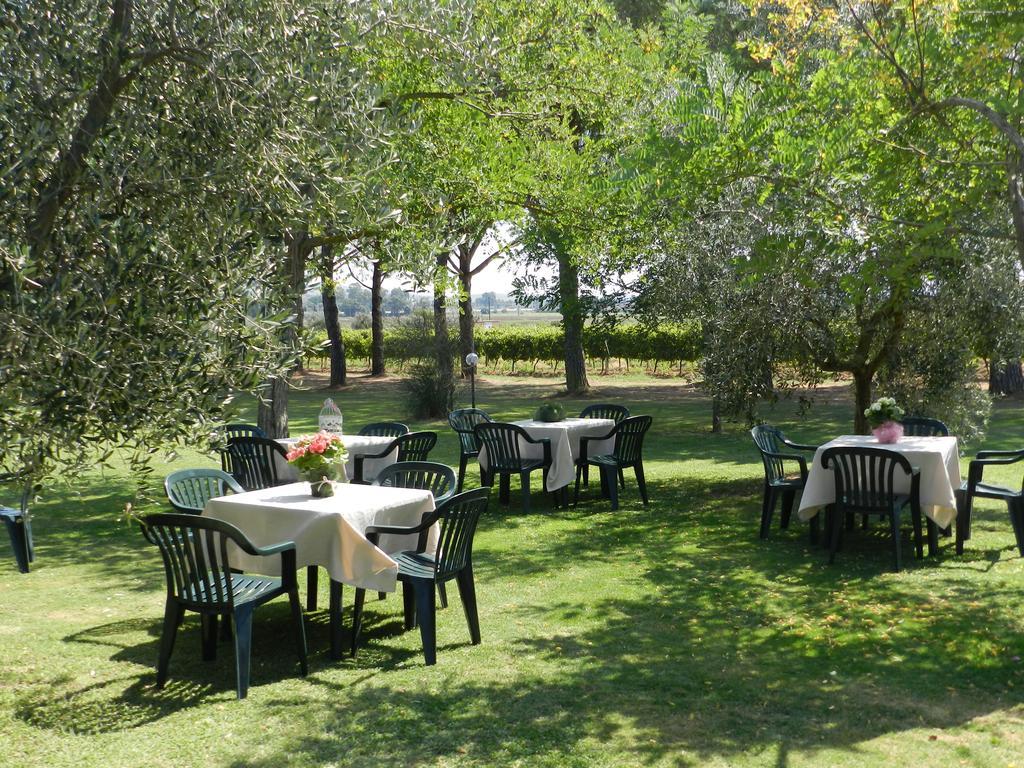 Agriturismo Fusini Magliano in Toscana Exterior foto