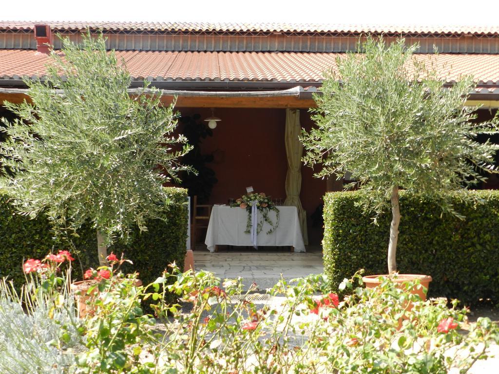 Agriturismo Fusini Magliano in Toscana Exterior foto