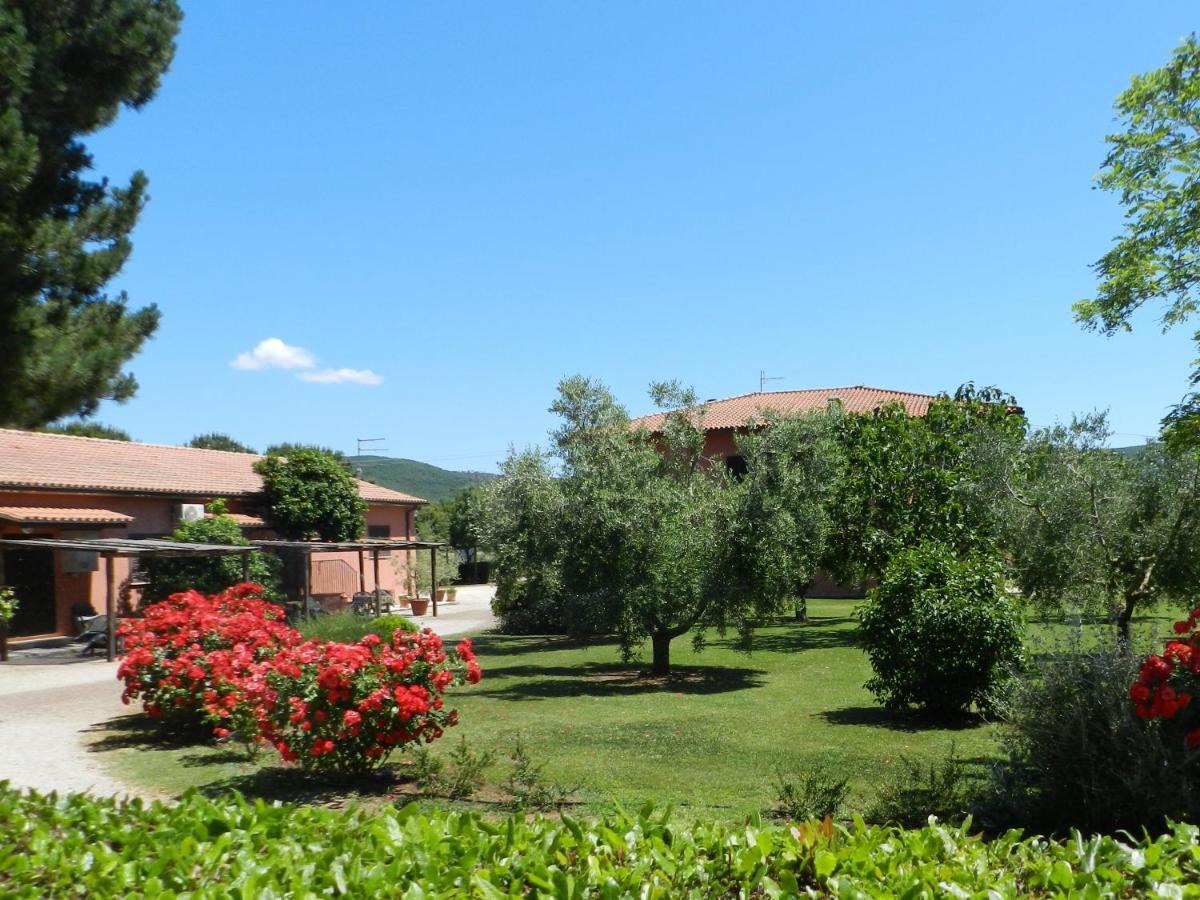 Agriturismo Fusini Magliano in Toscana Exterior foto