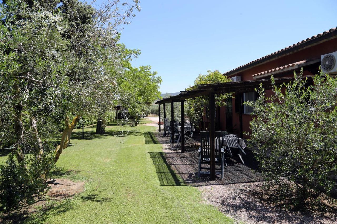 Agriturismo Fusini Magliano in Toscana Exterior foto